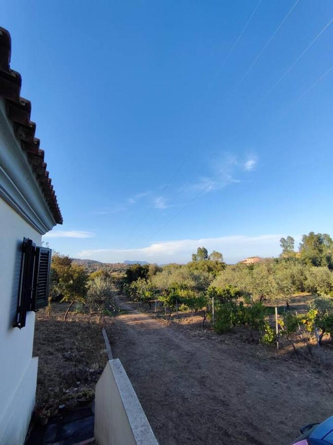 Villa Ulivella Schifoni Exterior foto